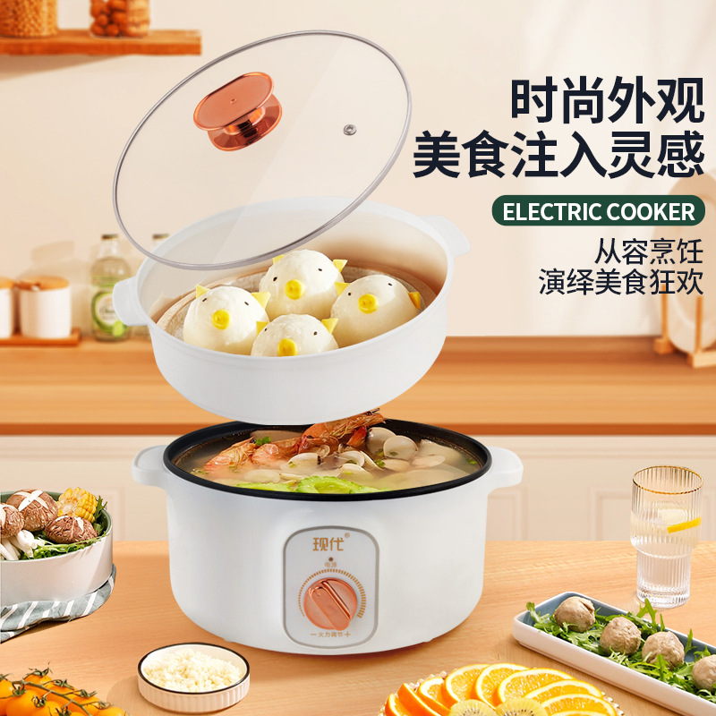 다기능 미니 전기 핫팟 휴대용 학생 기숙사 전기 냄비  - Kitchen Appliances Electric 리뷰 및 가격