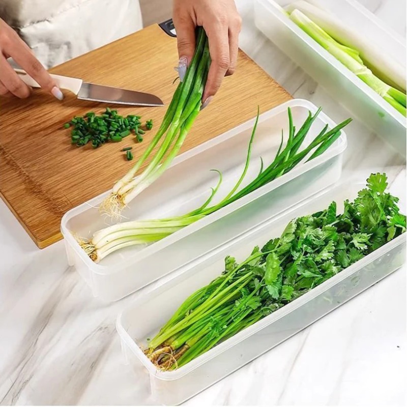 1/2/4개입 생양파 신선보관함 플라스틱 냉장고 보관함 - Kitchen Appliances Organizer 리뷰 및 가격